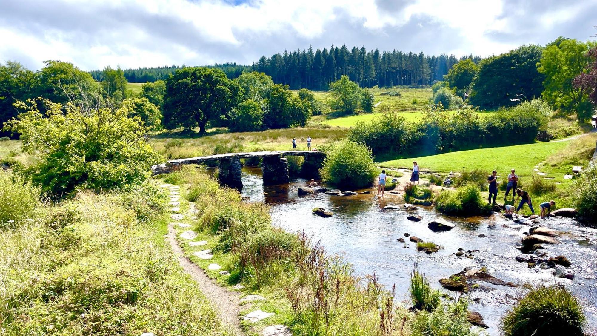 Peaceful Cowslip - Finlake In Devon